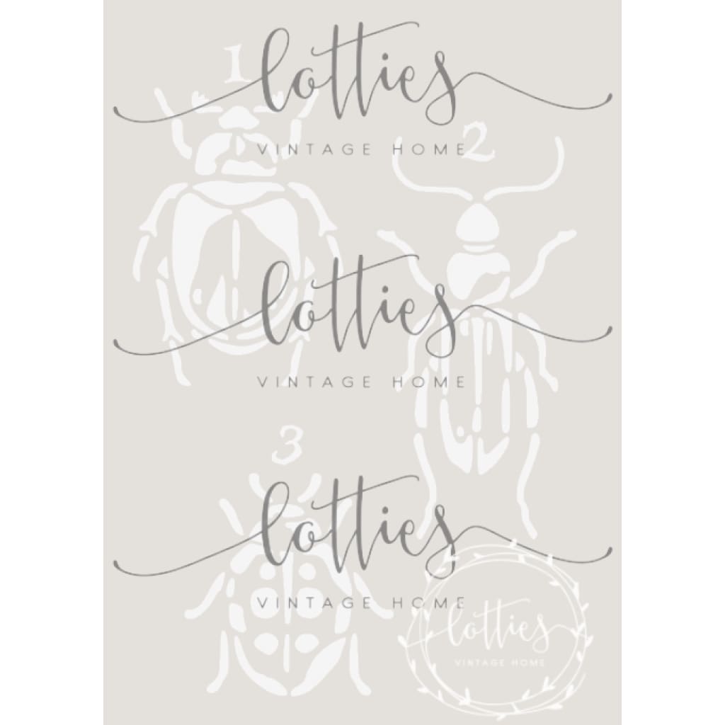BEETLE COLLECTION A5 STENCIL Lotties Vintage Home