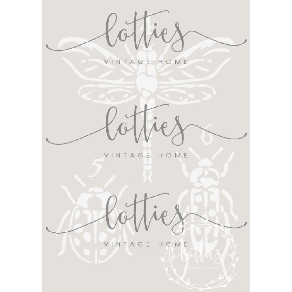 INSECT COLLECTION A5 STENCIL Lotties Vintage Home